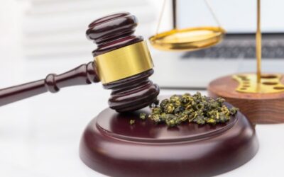 Marijuana Laws & DOT Compliance